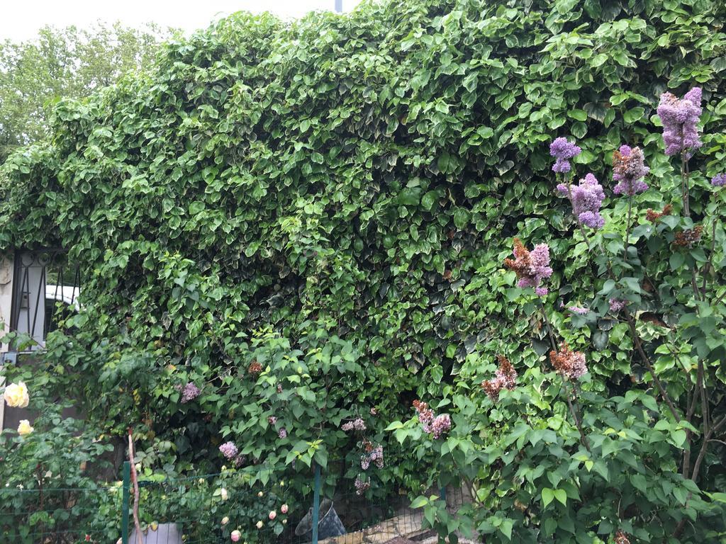Portail Du Ventoux Central Luxe Jardin Linge Fourni Malaucène Zewnętrze zdjęcie